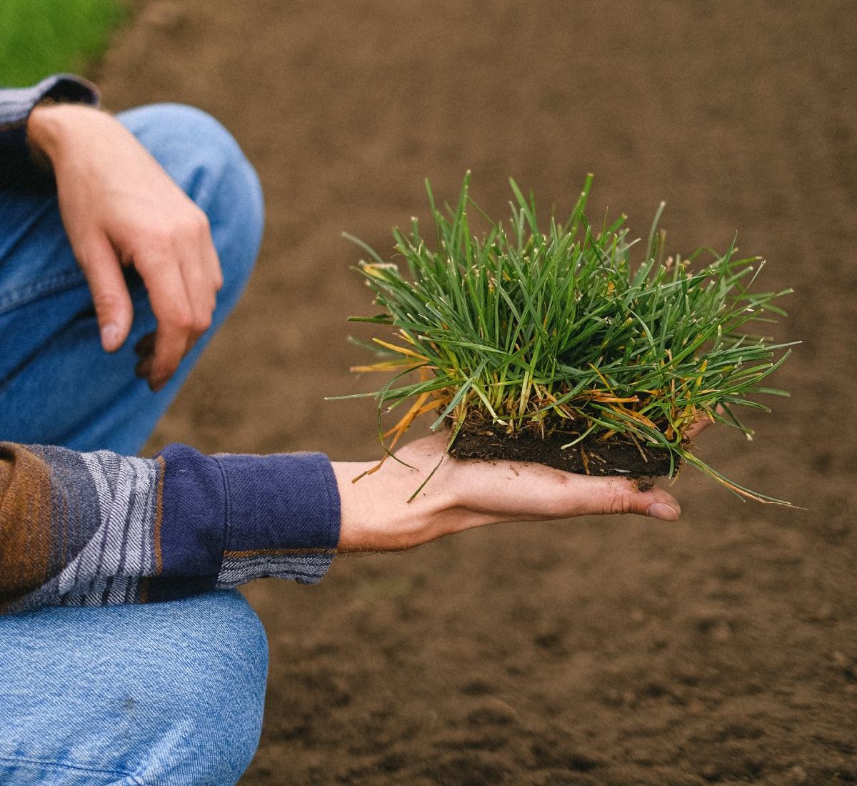 best-sodding-services